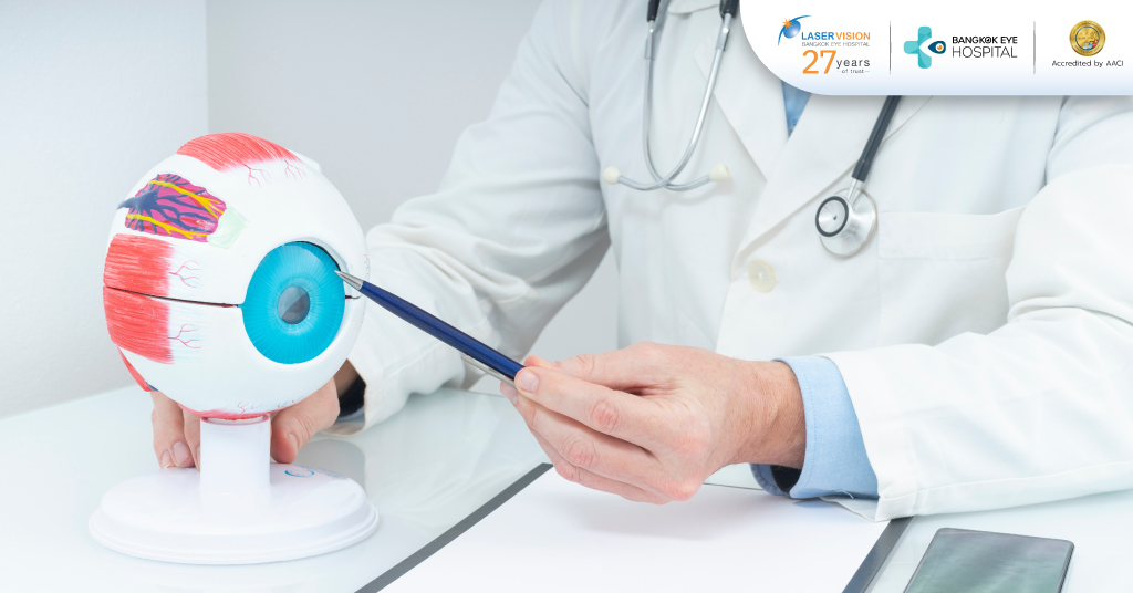 ขั้นตอนการวินิจฉัยภาวะเห็นภาพซ้อน ขั้นตอนการวินิจฉัยภาวะเห็นภาพซ้อน