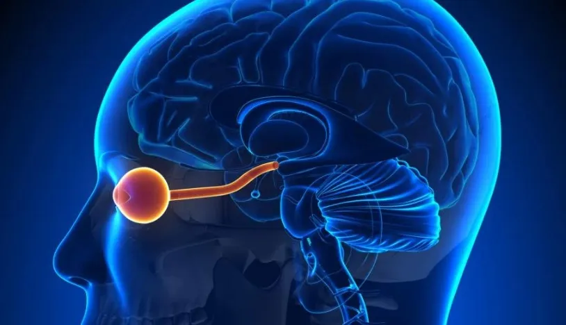 What are the symptoms of Optic Neuritis